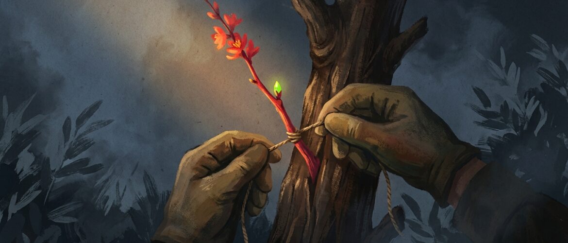 Creator Partnerships: The New ROI for Brand Strategy | Payani