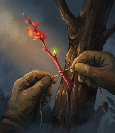 Creator Partnerships: The New ROI for Brand Strategy | Payani