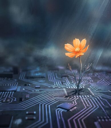 Emotional Resonance: The Key to High-Performing Campaigns